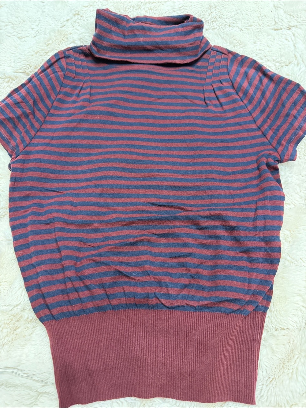 Anthropologie Pilcro Short-Sleeve Turtleneck Stripe Top in Blue & Pink